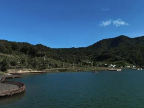 中國(guó)十大最美森林排行榜,輪臺(tái)縣塔里木胡楊林公園崇高又圣潔