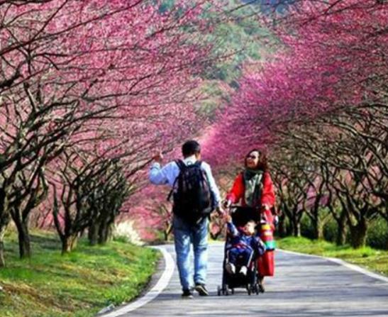 湖州市十大賞花景點排行榜,安吉中南百草園、長興城山溝景區(qū)歷史悠久