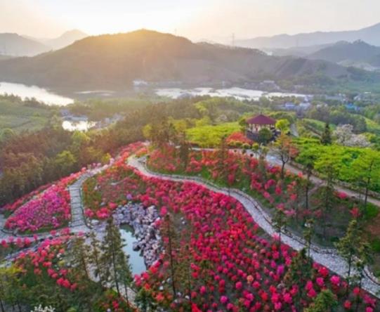 湖州市十大賞花景點排行榜,安吉中南百草園、長興城山溝景區(qū)歷史悠久