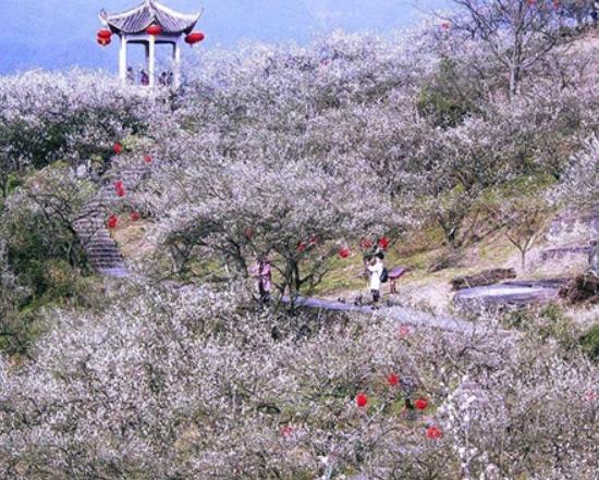 湖州市十大賞花景點排行榜,安吉中南百草園、長興城山溝景區(qū)歷史悠久