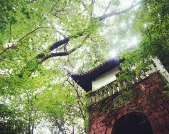 《盜墓筆記》相關(guān)的十大旅游景點(diǎn),西泠印社、曉風(fēng)書屋都很受歡迎