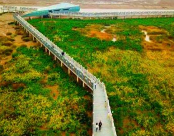 福州十大網(wǎng)紅打卡地,三坊七巷文藝氣息濃厚、鼓嶺旅游度假區(qū)各具特色