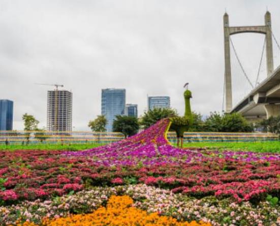 十大福州網(wǎng)紅公園排名,西湖公園景色秀麗、左海公園娛樂設施多