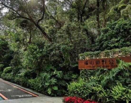 十大福州網(wǎng)紅公園排名,西湖公園景色秀麗、左海公園娛樂設施多