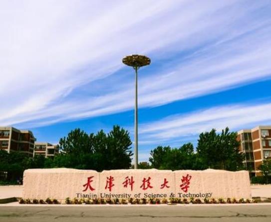 天津十大名校大學(xué),天津大學(xué)學(xué)術(shù)氛圍好、南開(kāi)大學(xué)教學(xué)質(zhì)量?jī)?yōu)異