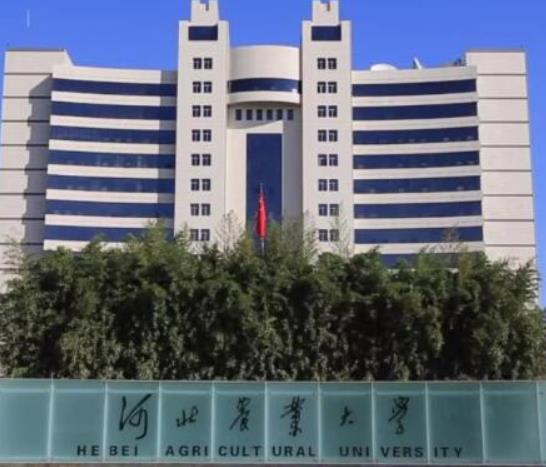 河北十大名牌大學,燕山大學屬于全國一流大學、河北大學師資力量雄厚
