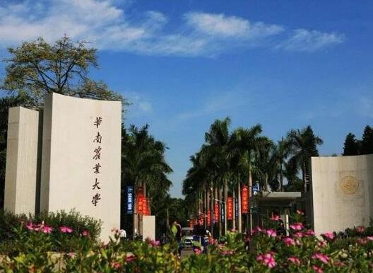 十大廣東名牌大學(xué)排名,中山大學(xué)是985、華南理工大學(xué)科研實力強大