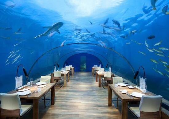 全球十大奇特餐廳,馬爾代夫海底餐廳、芬蘭冰雪餐廳聞名于世