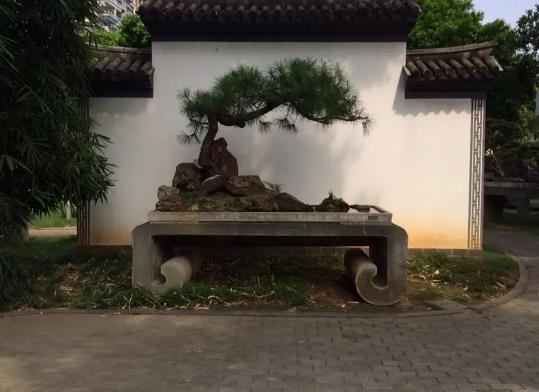 溫州十大公園排行榜,江心嶼公園風(fēng)景如畫、馬鞍山公園綠化面積大