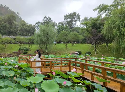 溫州十大公園排行榜,江心嶼公園風(fēng)景如畫、馬鞍山公園綠化面積大