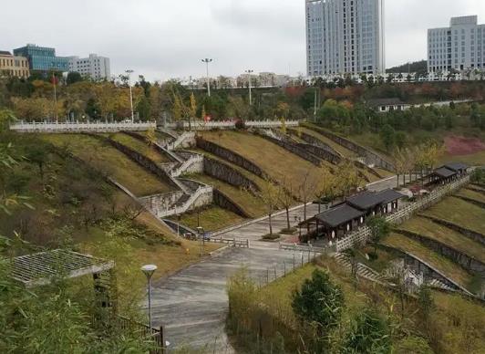 溫州十大公園排行榜,江心嶼公園風(fēng)景如畫、馬鞍山公園綠化面積大