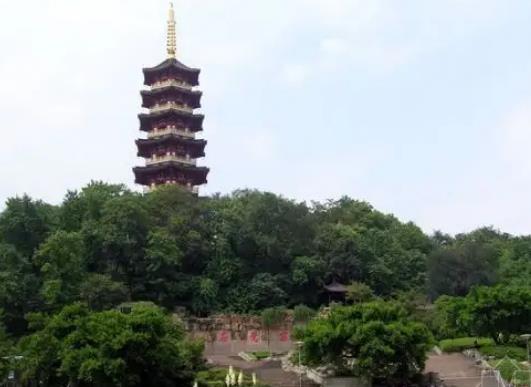 溫州十大公園排行榜,江心嶼公園風(fēng)景如畫、馬鞍山公園綠化面積大