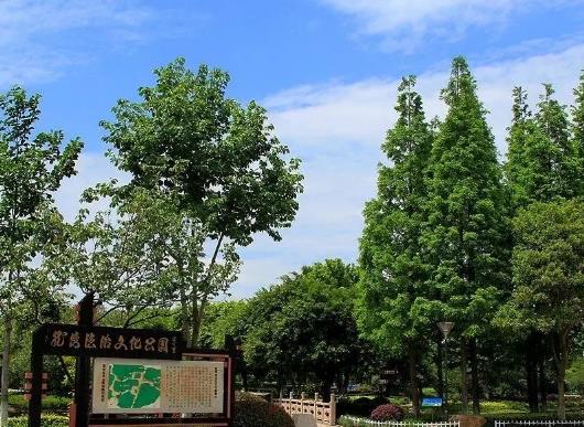 溫州十大公園排行榜,江心嶼公園風(fēng)景如畫、馬鞍山公園綠化面積大