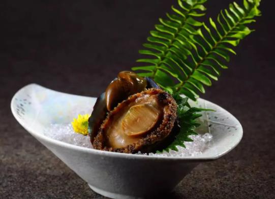 世界上最貴的鮑魚排名,日本網(wǎng)鮑品質(zhì)較好、吉品鮑體型小巧