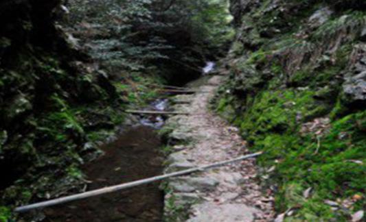 安徽旅游景點(diǎn)排行 安徽旅游景點(diǎn)在哪里