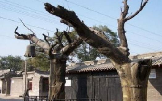 河北省保定市十大旅游景點(diǎn)排行榜 保定有什么好玩的地方去旅游