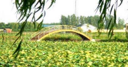 河北省保定市十大旅游景點(diǎn)排行榜 保定有什么好玩的地方去旅游