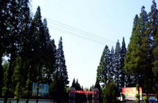 山西省朔州市十大旅游景點(diǎn)排行榜 朔州有什么好玩的地方去旅游