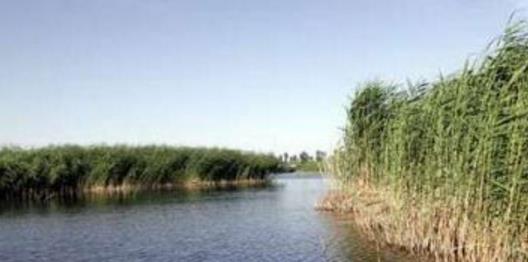 內(nèi)蒙古巴彥淖爾十大旅游景點(diǎn)排行榜 巴彥淖爾有什么好玩的地方
