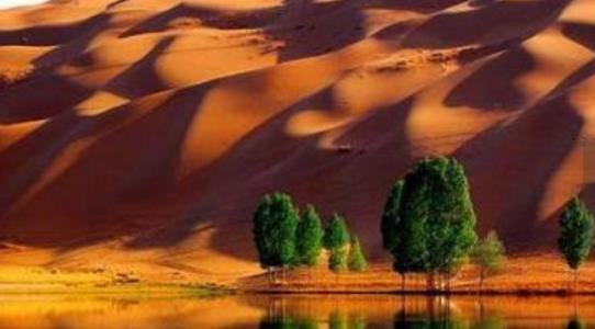 內(nèi)蒙古阿拉善盟十大旅游景點(diǎn)排行榜 阿拉善盟有什么好玩的地方