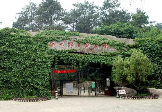 安徽省合肥市十大旅游景點排行榜 合肥有什么好玩的地方