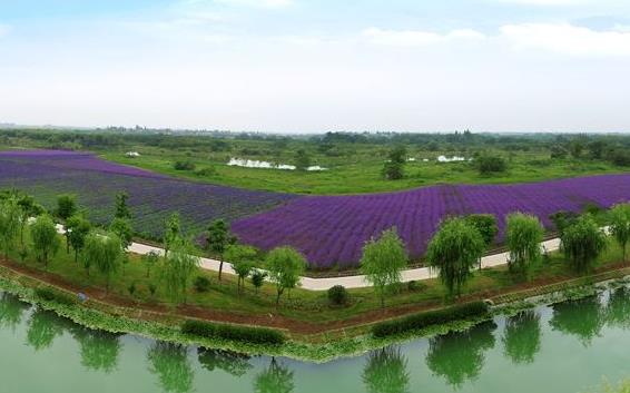 安徽省蕪湖市十大旅游景點(diǎn)排行榜 蕪湖有什么好玩的地方