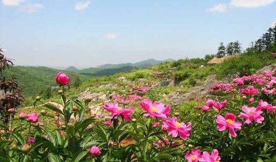 安徽省蕪湖市十大旅游景點(diǎn)排行榜 蕪湖有什么好玩的地方