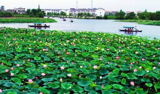 安徽省蕪湖市十大旅游景點(diǎn)排行榜 蕪湖有什么好玩的地方