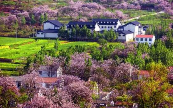 安徽省淮北市十大旅游景點(diǎn)排行榜 淮北有什么好玩的地方
