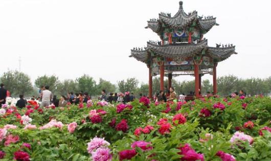 山東省菏澤市十大旅游景點(diǎn)排行榜 菏澤有什么好玩的地方