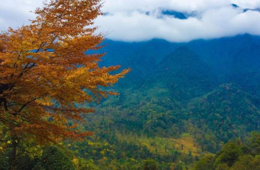 四川省樂(lè)山市十大旅游景點(diǎn)排行榜 樂(lè)山有什么好玩的地方