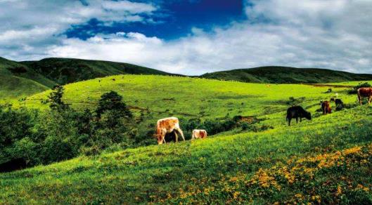 四川省涼山市十大旅游景點排行榜 涼山有什么好玩的地方