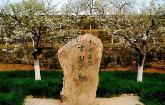 四川省廣元市十大旅游景點(diǎn)排行榜 廣元有什么好玩的地方