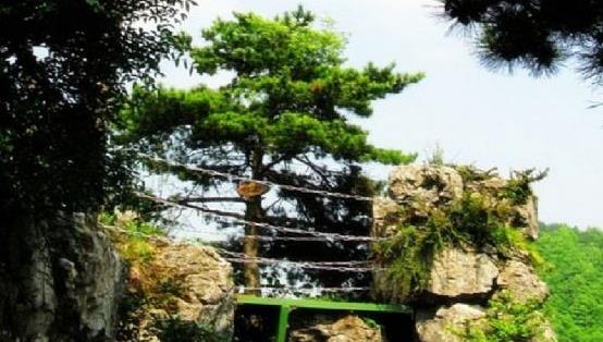四川省廣元市十大旅游景點(diǎn)排行榜 廣元有什么好玩的地方