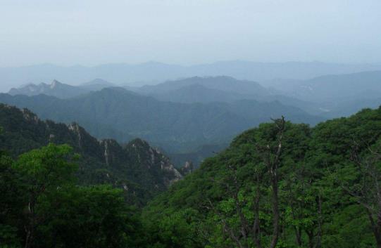 河南省洛陽市十大旅游景點(diǎn)排行榜 洛陽有什么好玩的地方