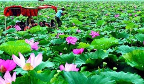 湖南省岳陽(yáng)十大旅游景點(diǎn)排行榜 岳陽(yáng)有什么好玩的地方