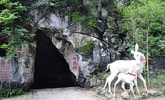 湖南省郴州市十大旅游景點(diǎn)排行榜 郴州有什么好玩的地方