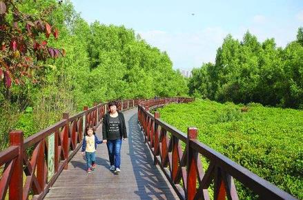 廣東省惠州市十大旅游景點(diǎn)排行榜 惠州有什么好玩的地方