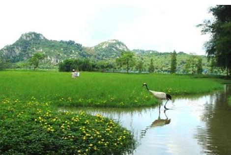 廣東省肇慶市十大旅游景點(diǎn)排行榜 肇慶有什么好玩的地方
