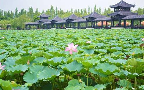 廣東省佛山市十大旅游景點排行榜 佛山有什么好玩的地方