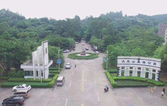廣東省云浮市十大旅游景點(diǎn)排行榜 云浮有什么好玩的地方