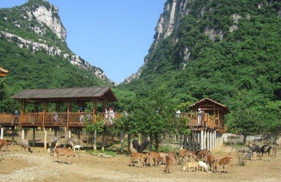 廣西省桂林市十大旅游景點(diǎn)排行榜 桂林有什么好玩的地方