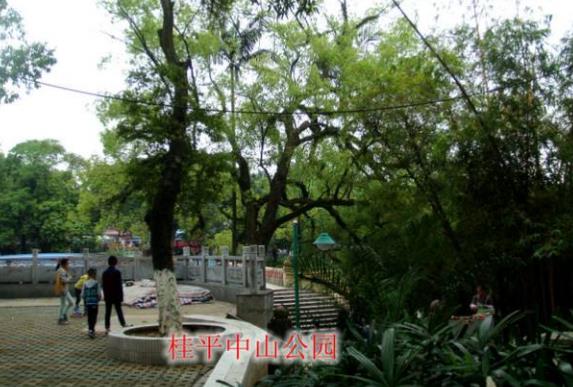 廣西省貴港市十大旅游景點(diǎn)排行榜 貴港有什么好玩的地方