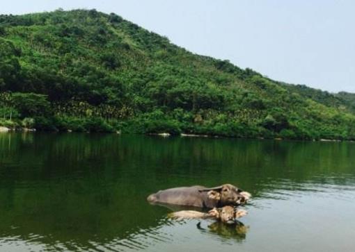 海南省屯昌市十大旅游景點(diǎn)排行榜 屯昌有什么好玩的地方