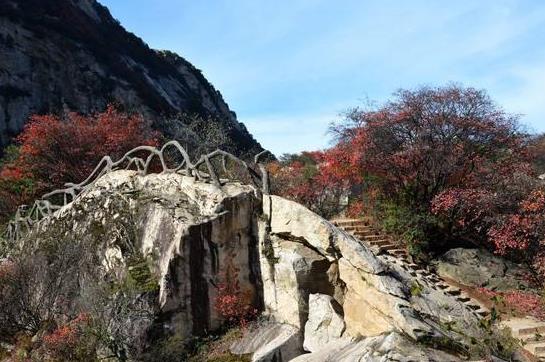 陜西省西安市十大旅游景點(diǎn)排行榜 西安有什么好玩的地方