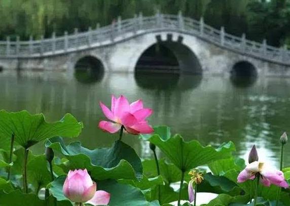 甘肅省慶陽(yáng)市十大旅游景點(diǎn)排行榜 慶陽(yáng)有什么好玩的地方