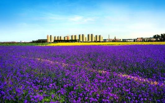 甘肅省金昌市十大旅游景點(diǎn)排行榜 金昌有什么好玩的地方