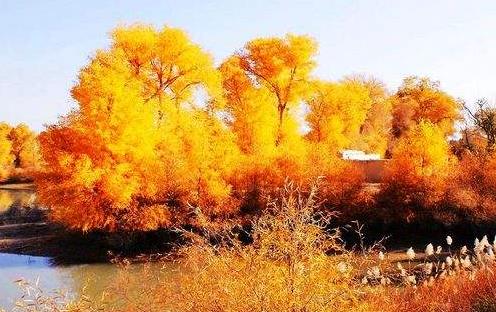 新疆省巴音郭楞十大旅游景點(diǎn)排行榜 巴音郭楞有什么好玩的地方