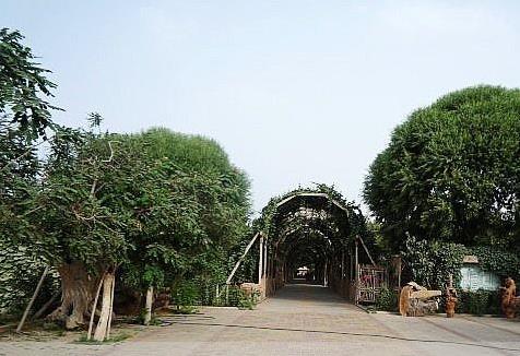 新疆省和田十大旅游景點(diǎn)排行榜 和田有什么好玩的地方