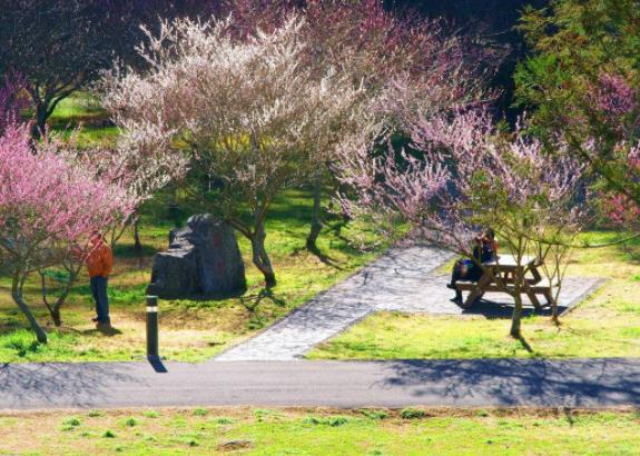 臺灣新竹市十大旅游景點(diǎn)排行榜 新竹市有什么好玩的地方